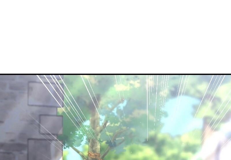 67885470 800 555 38000