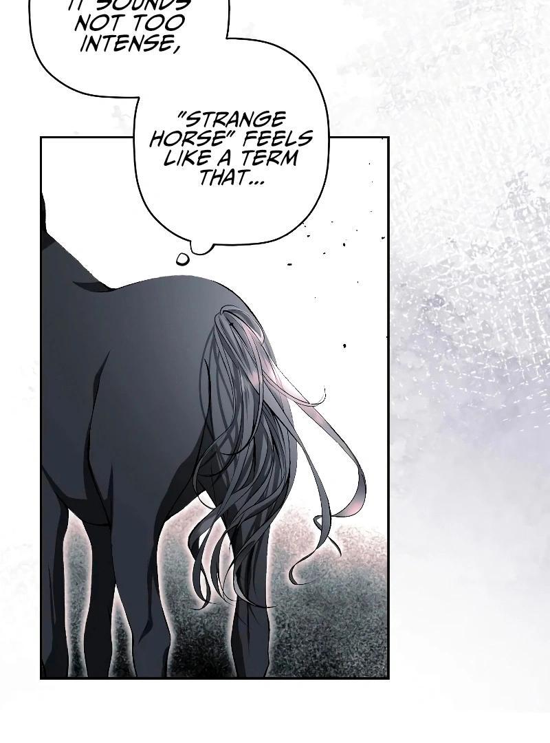 74288305 800 1080 89856